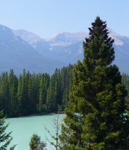 Banff- und Jasper Nationalpark